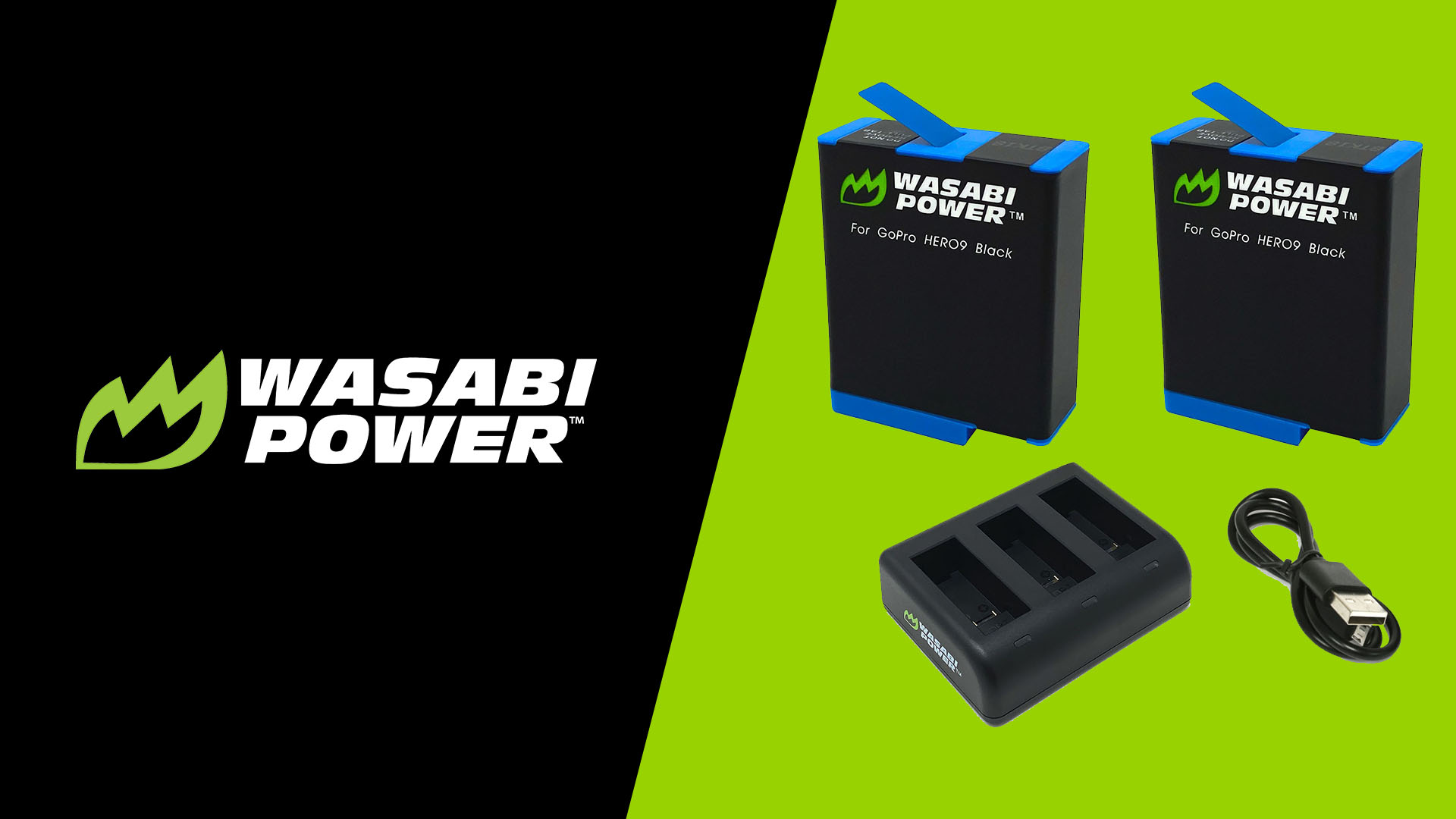 Amazon.com : Wasabi Power HERO12, HERO11, HERO10, HERO9 Battery (2